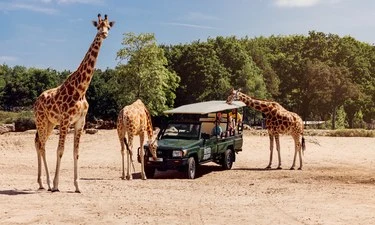 Lake Resort Beekse Bergen