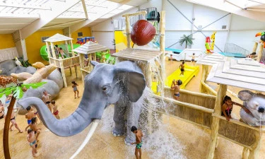 Camping Le P'tit Bois