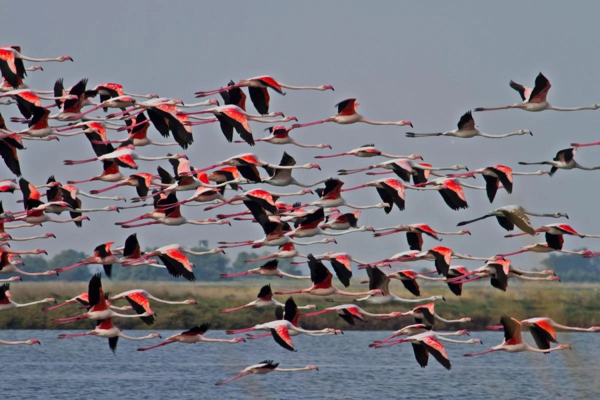 Po Delta Nationalpark
