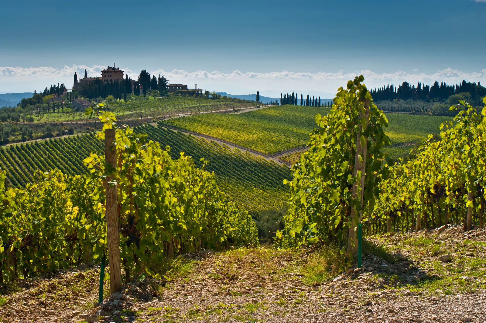 Chianti wijn proeven